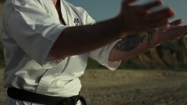 外の砂の丘の近くで武道を練習Taekwondoマスター。夏の夜の屋外での着物トレーニングでの空手の戦闘機。髭を生やした男が戦闘姿勢をとる。健康的なライフスタイルを. - 映像、動画