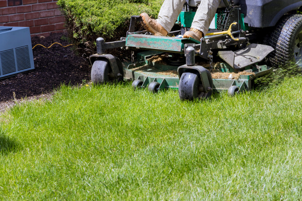 Man mows lawn using gasoline-powered self-propelled lawn mower on cutting grass with lawn mower. - Photo, Image
