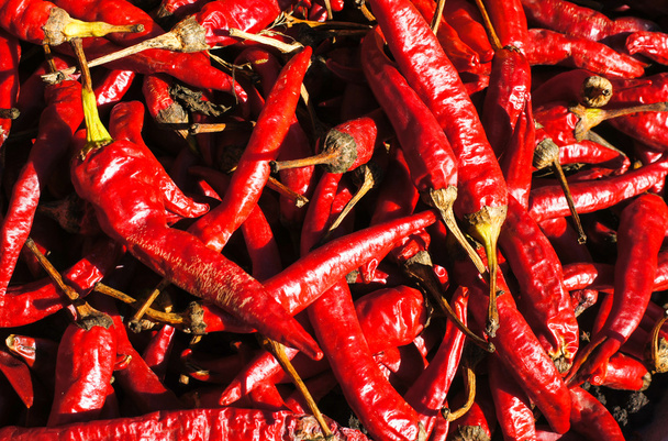 Pimientos chile rojo
 - Foto, imagen