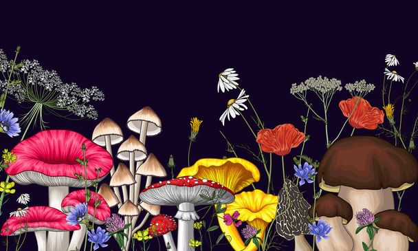 Ilustração vetorial de uma floresta de cogumelos e flores silvestres. Amanita, chanterelles, camomila, cogumelo branco, trevo, papoula, morels, mycena, dente-de-leão, russula - Vetor, Imagem