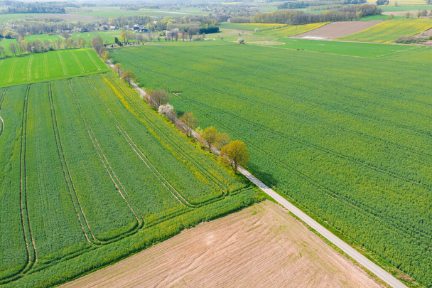 A dirt road running through fields and meadows seen from above. Photo from the drone. In the distance you can see the buildings of a nearby village. - Фото, изображение