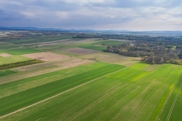 A vast plain covered with arable fields and meadows. You can see clumps of trees in some places. The sky is slightly cloudy. Photo from the drone. - Fotó, kép