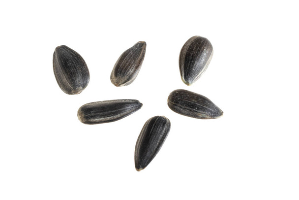 sementes de girassol em um fundo isolado branco - Foto, Imagem
