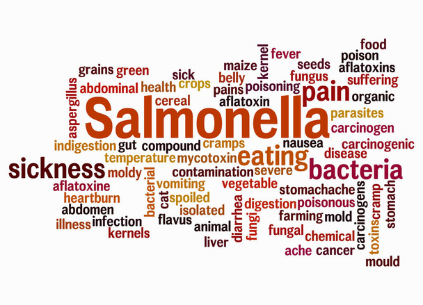 Word Cloud with SALMONELLA concept create with text only. - Photo, Image