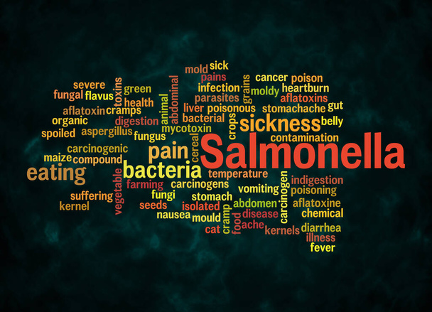 Word Cloud with SALMONELLA concept create with text only. - Photo, Image
