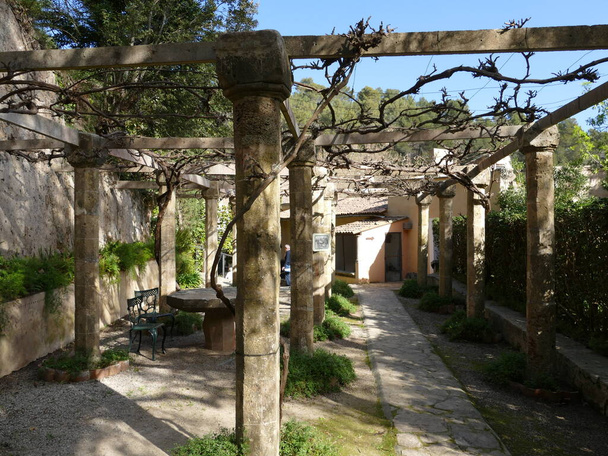 Arboleda sombría en la finca La Granja, Mallorca, Islas Baleares, España - Foto, Imagen