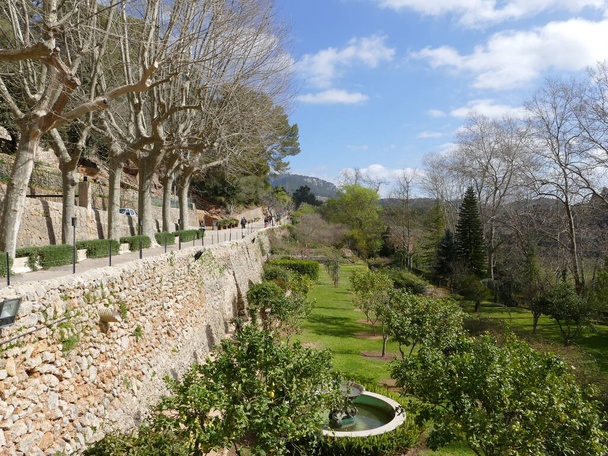 Driveway and park of La Granja estate, Mallorca, Balearic Islands, Spain - Foto, Imagem