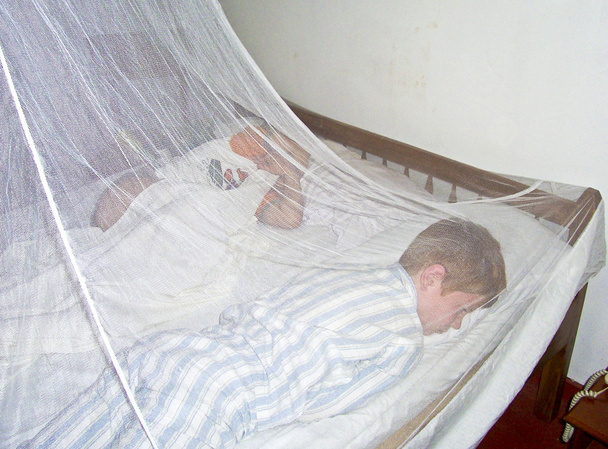 Ragazzi stanno dormendo unter una zanzariera
 - Foto, immagini
