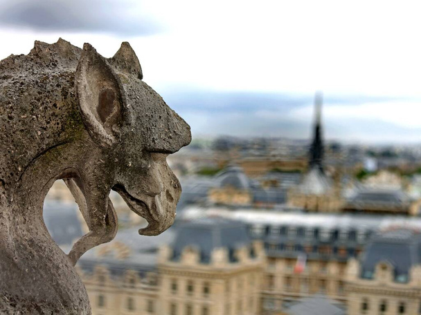gargoyle in the church of Notre Dame in Paris in France - Photo, Image