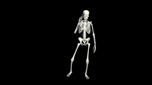 Skeleton is aan de telefoon. Skelet gesprek met behulp van de telefoon. 3D realistische animatie. Zwarte achtergrond. - Video
