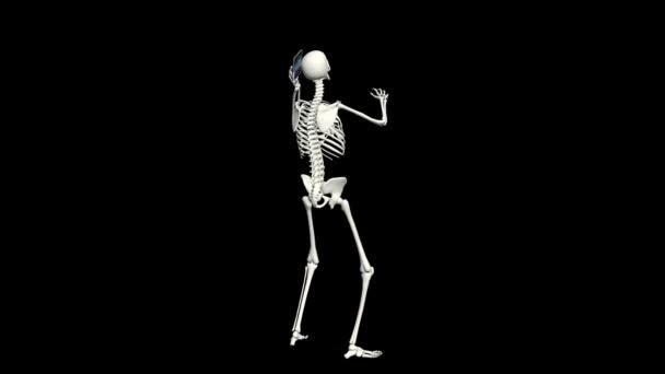 Skeleton is talking on the phone. Skeleton conversation using the phone. 3D realistic animation. Black background. - Кадри, відео