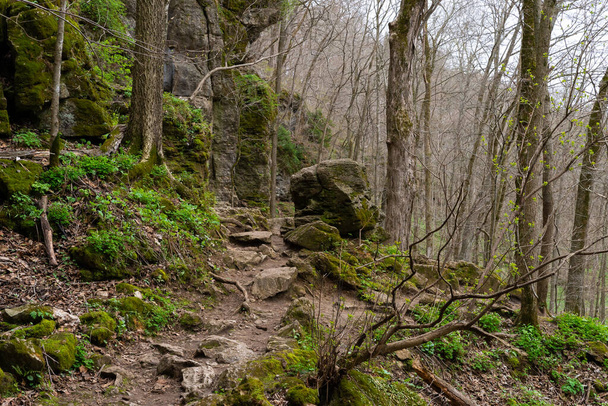 Landscape at Maquoketa Caves State Park on a cloudy Spring morning. - Фото, изображение