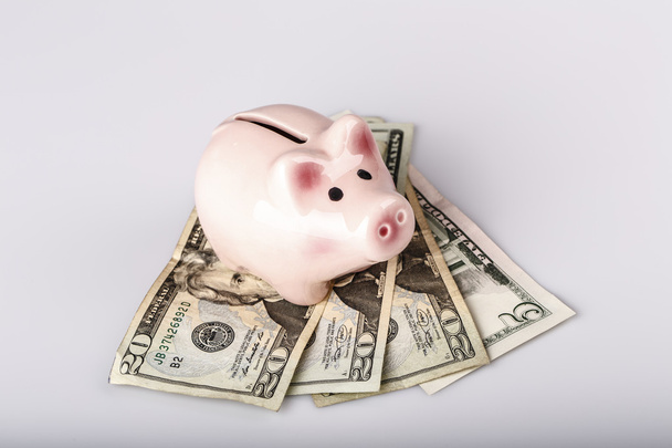 świnia banku na banknoty dolarów - Zdjęcie, obraz