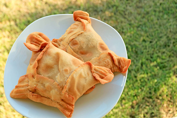 A Pair of Delectable Empanadas, Chilean Savory Stuffed Pastry on White Plate - 写真・画像