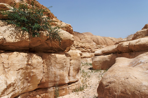 Canyon du désert rocheux
 - Photo, image