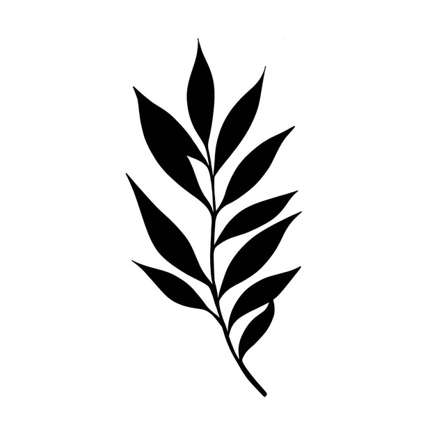 plant silhouet template geïsoleerd. botanische tatoeage schets - Foto, afbeelding