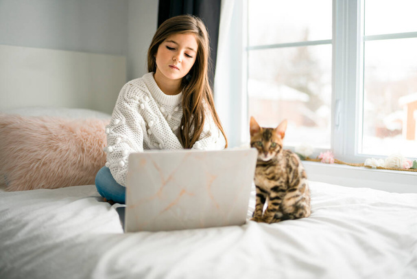 bengal cat with Child on computers sit bed at home - Foto, immagini