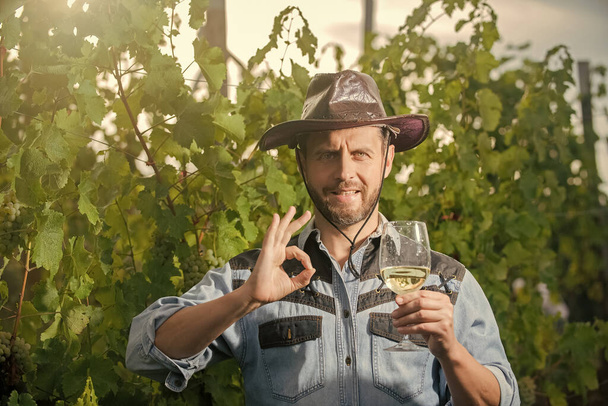 ソムリエ。農家のワインを飲む。乾杯。ブドウ酒を飲んでる。男性ブドウ園経営者. - 写真・画像