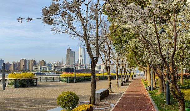 Riverside Park, Riverside Avenue, Expo, река Хуанпу, Шанхай, Китай - Фото, изображение