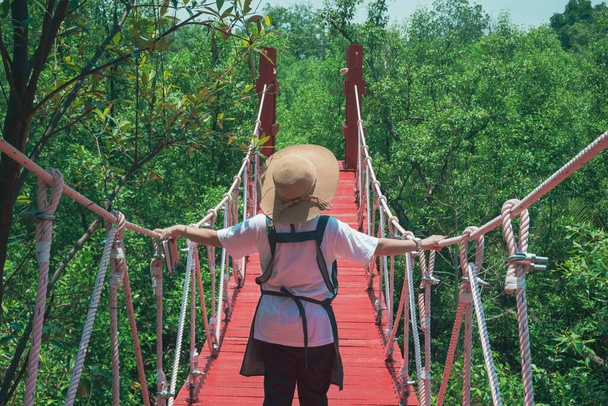 Rear view of female tourist walking across red hanging wooden bridge in mangrove forest at natural parkland, ecotourism concept - Photo, Image