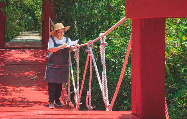 Hembra forestera asiática tomando notas sobre puente colgante rojo en bosque de manglares en parques naturales - Foto, imagen