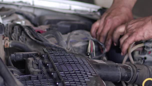 Mécanicien automobile Changement de filtre à carburant de la voiture dans l'atelier de réparation. - Séquence, vidéo