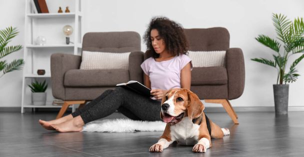 Beautiful African-American woman with cute dog reading book at home - Foto, immagini