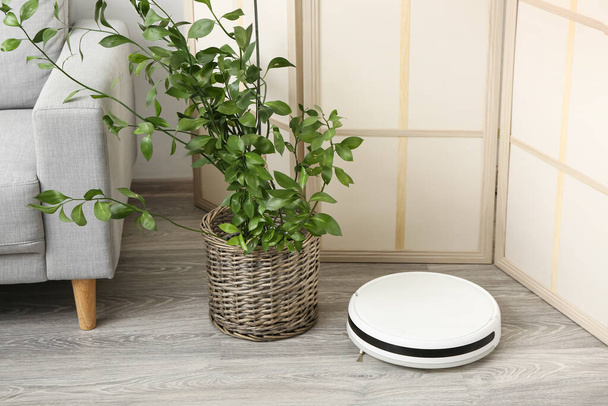 Modern robot vacuum cleaner and houseplant near folding screen in living room - Photo, Image