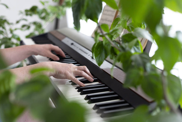 Kobiece ręce grają na pianinie. Ręce zamarzły na klawiszach syntezatora. Tworzenie muzyki domowej, relaks. Biofizyczny wystrój wnętrz. Mnóstwo roślin domowych. - Zdjęcie, obraz