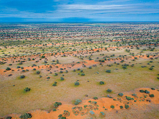 Krásná krajina v poušti Kalahari v Namibii. - Fotografie, Obrázek