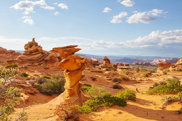 Sandstone formations in Utah, USA. Beautiful Unusual landscapes. - Photo, Image