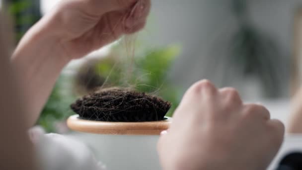 Close up of woman holding hairbrush with many hair on it. Shot with RED helium camera in 8K.  - Imágenes, Vídeo