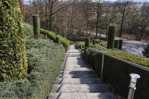 Luxurious rock garden with coniferous shrubs. Garden hobby - Fotoğraf, Görsel
