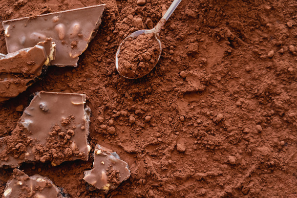 Top view of chocolate and spoon on dry cocoa powder - Foto, imagen