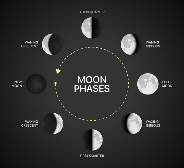 ムーンフェイズチャートベクトルイラスト。黒い背景に月の光の回転インフォグラフィック - ベクター画像