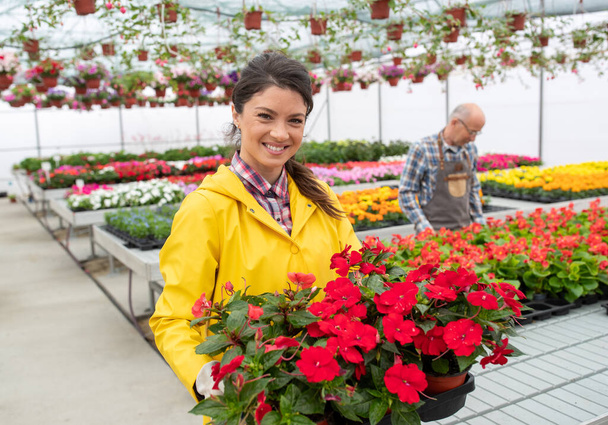 Pretty young woman wearing flower pot with beautiful red flowers in pots in plant nursery during blooming season - Foto, afbeelding