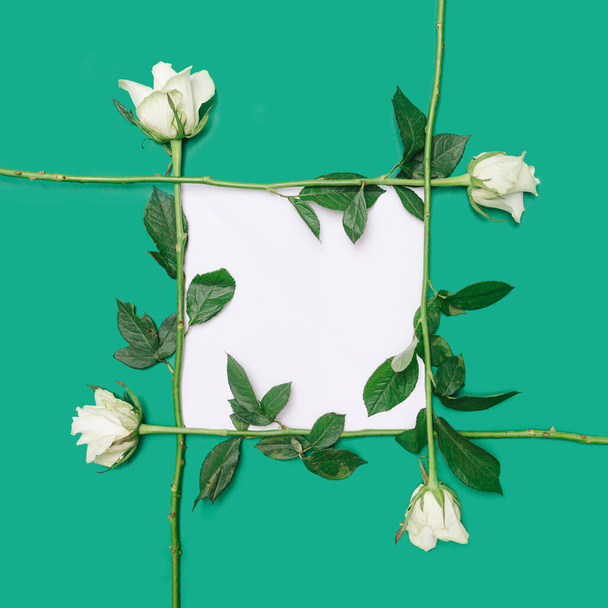 Yeşil arkaplanda beyaz kopya alanı olan bir çerçeve oluşturan dört beyaz gül. - Fotoğraf, Görsel