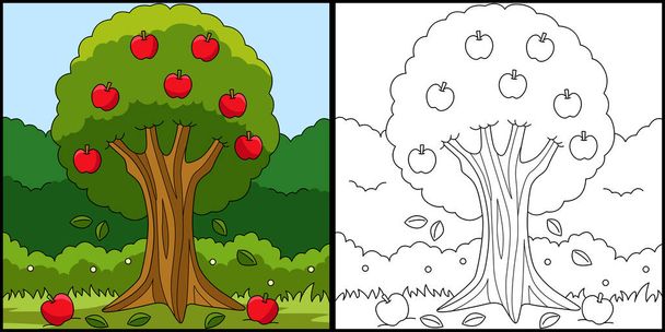 Apple Tree Coloring Page Colored Illustration - Vector, imagen