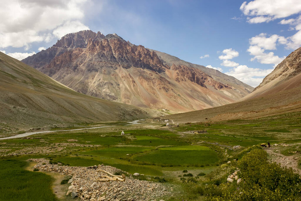 Gyönyörű táj hegyek felett zöld mezők a Zanskar völgyben Ladakh az indiai Himalája. - Fotó, kép
