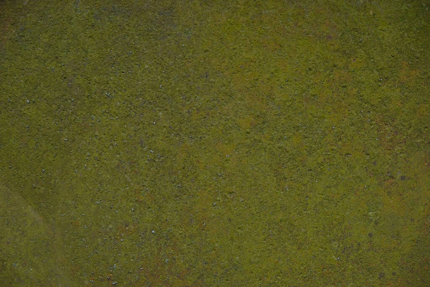 Rusty green metal surface. Copy space. - Fotó, kép