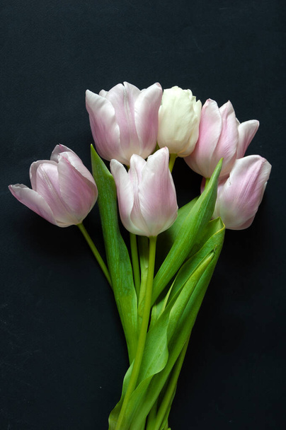 bellissimo bouquet di tulipani rosa e bianchi su sfondo nero, primo piano - Foto, immagini