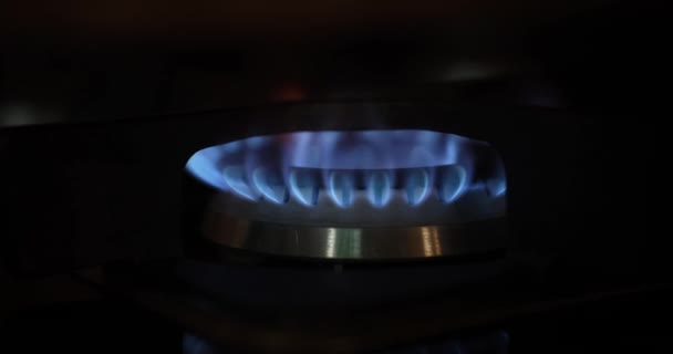 Gas burner on stove with blue fire at home closeup 4k movie - Footage, Video