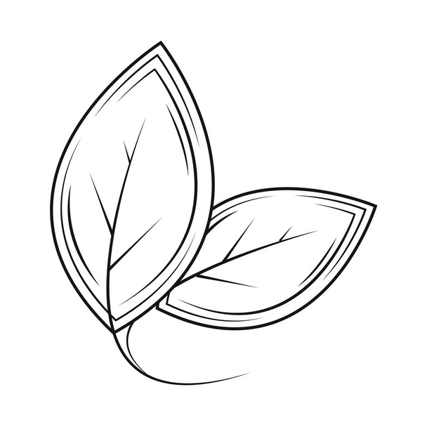 leaf nature organic icon - Vektor, obrázek