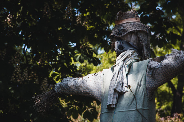 Scarecrow to scare away birds in the crop field. Copy space. Selective focus. - Photo, Image