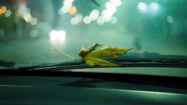 Withered maple leaf in the shape of a crown on a car windshield wiper. Blurred people crossing the road in the background. The front glass of the car and backdrop of a city street with bright lights - Materiał filmowy, wideo