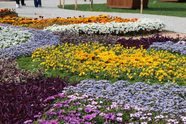 Genova, Itay - 03 de maio de 2022: Euroflora é uma exposição da flor e a planta ornamental é uma das principais exposições florais que ocorrem nos parques Nervi de Gênova. - Foto, Imagem
