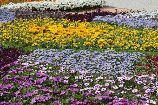 Genova, Itay - 03 de maio de 2022: Euroflora é uma exposição da flor e a planta ornamental é uma das principais exposições florais que ocorrem nos parques Nervi de Gênova. - Foto, Imagem