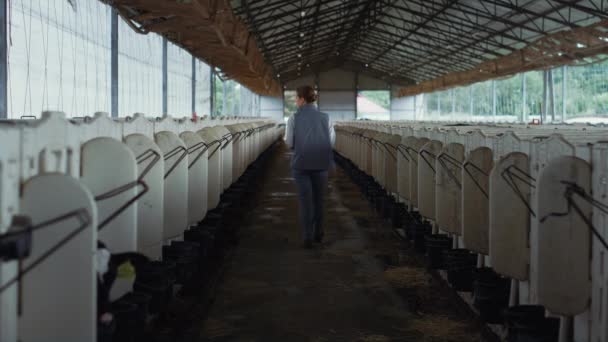 Woman checking cattle shed at countryside rear view. Dairy production farm. - Filmmaterial, Video