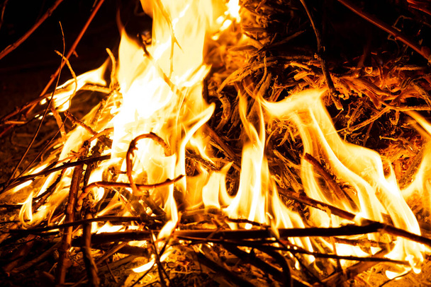 Bonfire in the spring time burning garbage, fire danger. - Фото, изображение