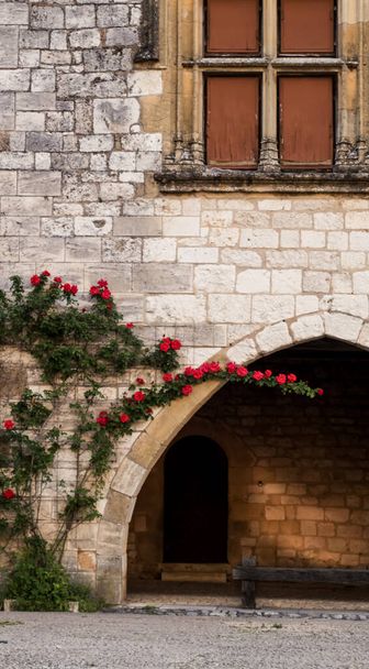 Fransa 'nın güneyinde, Monpazier' de, Biron Şatosu 'nun yanındaki küçük bir Fransız köyünde, güzel Romanesk mimarisinde kırmızı güller yetişir. - Fotoğraf, Görsel
